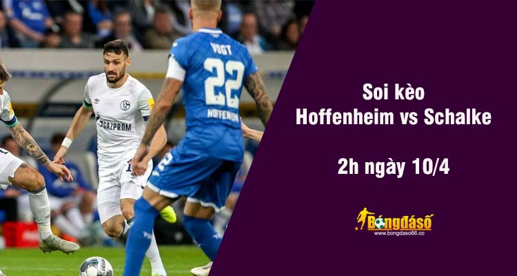 Soi kèo Hoffenheim vs Schalke, 0h 30ngày 10/4 - Ảnh 2