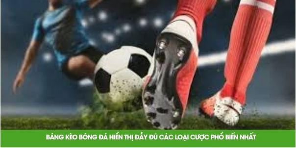 Soi K&egrave;o C&uacute;p C2 &ndash; Ph&acirc;n T&iacute;ch Chuẩn X&aacute;c N&acirc;ng Tầm Chiến Thắng - Ảnh 3